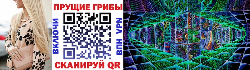 закладка  Красный Кут  Псилоцибиновые грибы Cubensis 